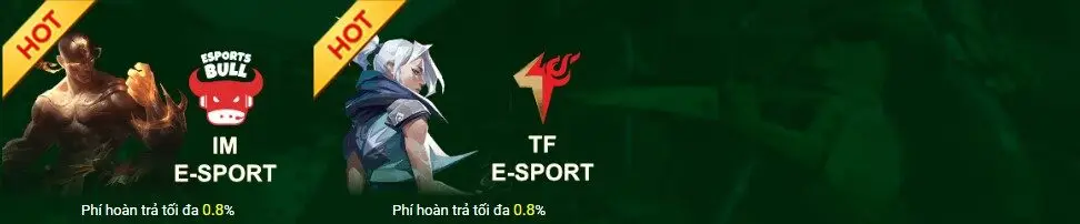 các sảnh cược esport tk88 