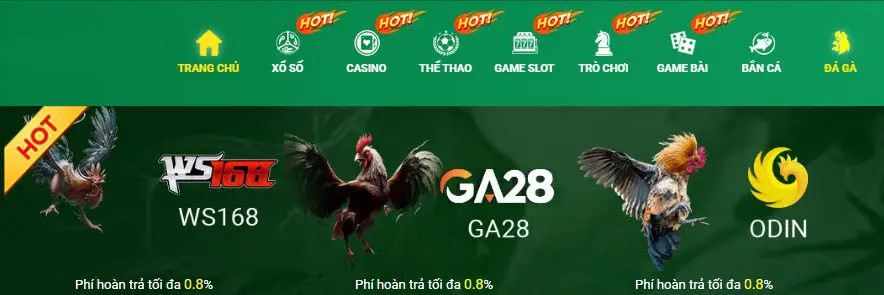 giới thiệu đá gà tk88