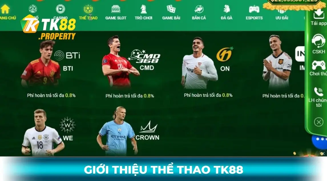giới thiệu sảnh cược thể thao tk88