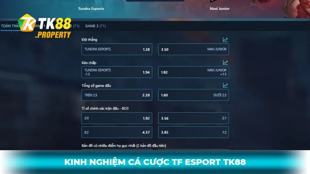 Kinh nghiệm cá cược TF Esport TK88
