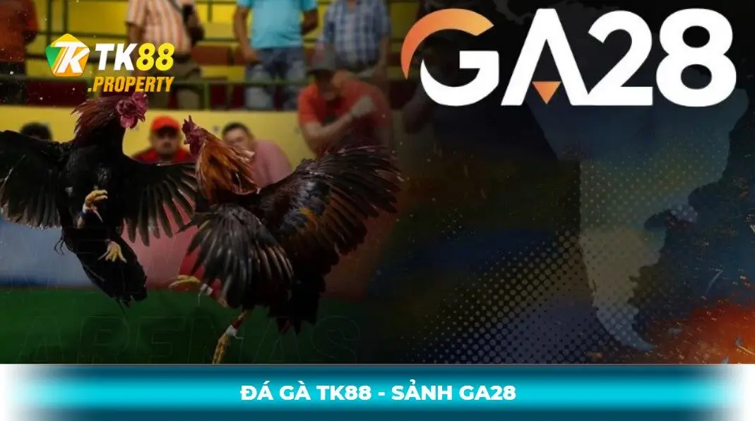 Sảnh cược đá gà tk88 - ga28