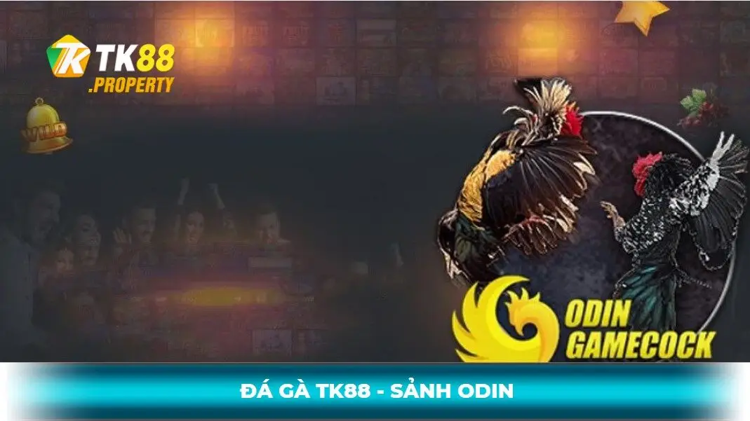 Sảnh cược đá gà tk88 - odin